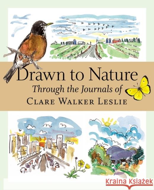 Drawn to Nature: Through the Journals of Clare Walker Leslie Clare Walker Leslie 9781580176149