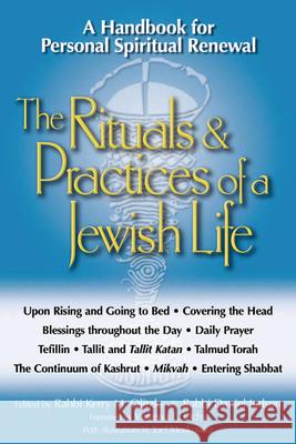 The Rituals & Practices of a Jewish Life: A Handbook for Personal Spiritual Renewal Kerry M. Olitzky Vanessa L. Ochs Daniel Judson 9781580231695 Jewish Lights Publishing