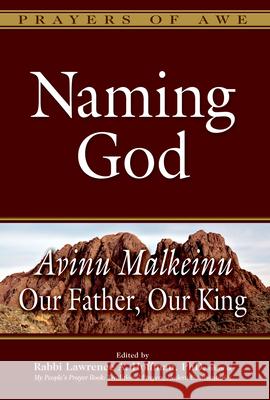 Naming God: Avinu Malkeinu--Our Father, Our King Lawrence A., Rabbi Hoffman 9781580238175 Jewish Lights Publishing