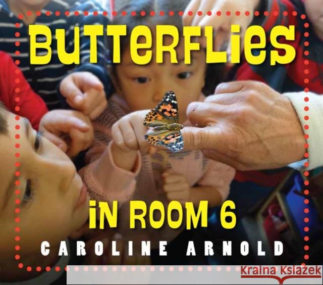 Butterflies in Room 6: See How They Grow Caroline Arnold 9781580898942 Charlesbridge Publishing