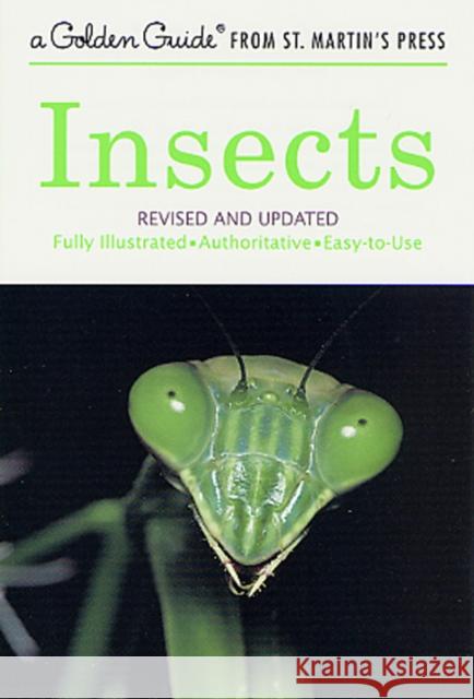 Insects: Revised and Updated Herbert Spencer Zim Clarence Cottam James Gordon Irving 9781582381299 Golden Guides from St. Martin's Press