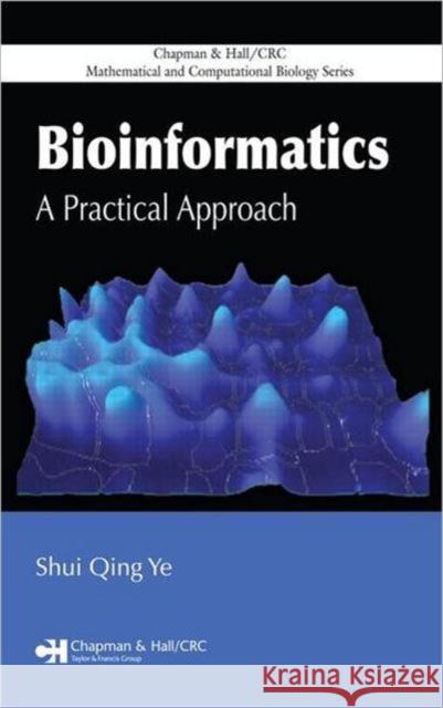 Bioinformatics: A Practical Approach Ye, Shui Qing 9781584888109 Chapman & Hall/CRC