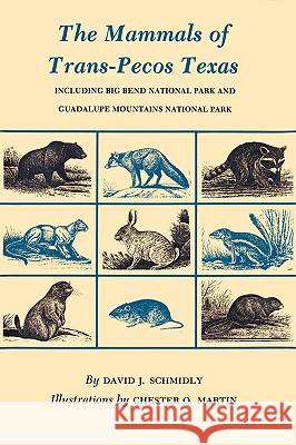 The Mammals of Trans-Pecos Texas: Including Big Bend National Park and Guadalupe Mountains National Park David J. Schmidly Chester O. Martin 9781585440269