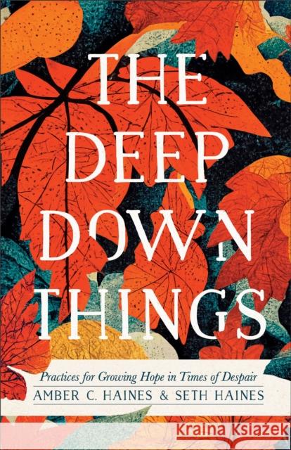 The Deep Down Things - Practices for Growing Hope in Times of Despair Amber C. Haines Seth Haines 9781587435638