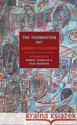 The Foundation Pit Andrey Platonov Robert Chandler Elizabeth Chandler 9781590173053