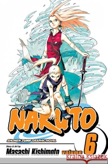 Naruto, Vol. 6 Masashi Kishimoto 9781591167396