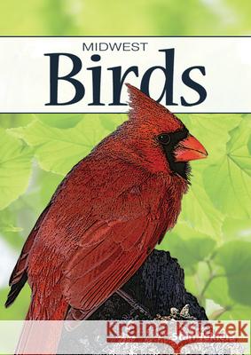 Birds of the Midwest Stan Tekiela 9781591932857 Adventure Publications(MN)