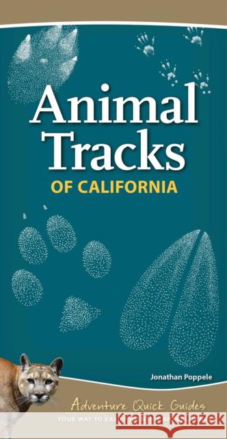 Animal Tracks of California: Your Way to Easily Identify Animal Tracks Poppele, Jonathan 9781591937401 Adventure Publications