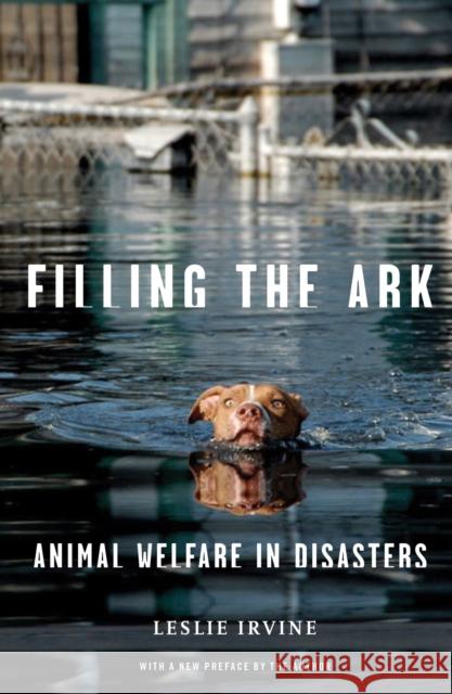 Filling the Ark: Animal Welfare in Disasters Leslie Irvine 9781592138357