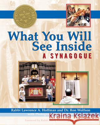What You Will See Inside a Synagogue Lawrence A. Hoffman Ron Wolfson Bill Aron 9781594732560 Skylight Paths Publishing