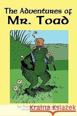 The Adventures of Old Mr. Toad Thornton W. Burgess Harrison Cady 9781604597554 Flying Chipmunk Publishing