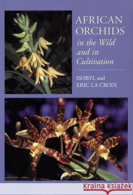 African Orchids in the Wild and in Cultivation Isobyl L Eric L 9781604691214 Timber Press (OR)
