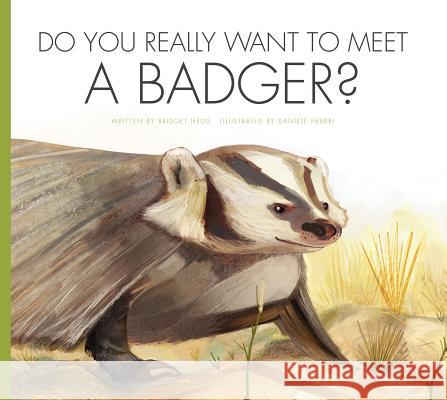 Do You Really Want to Meet a Badger? Bridget Heos Daniele Fabbri 9781607539445 Amicus Illustrated