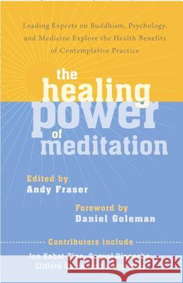 The Healing Power of Meditation: Leading Experts on Buddhism, Psychology, and Medicine Explore the Health Benefits of Contemplative Practice Fraser, Andy 9781611800593