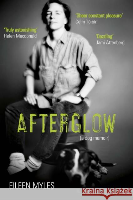 Afterglow: A Dog Memoir Eileen Myles 9781611855098 Grove Press / Atlantic Monthly Press
