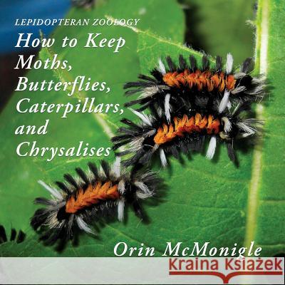 Lepidopteran Zoology: How to Keep Moths, Butterflies, Caterpillars, and Chrysalises Orin McMonigle 9781616464684 Coachwhip Publications