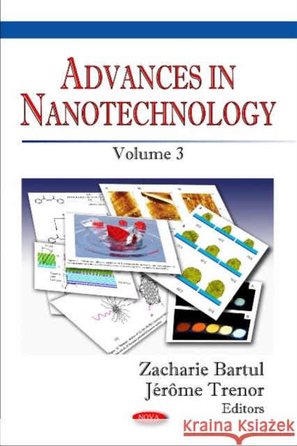 Advances in Nanotechnology: Volume 3 Zacharie Bartul, Jérôme Trenor 9781616681616 Nova Science Publishers Inc