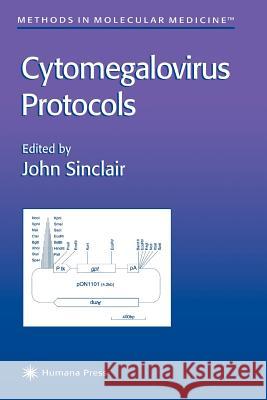 Cytomegalovirus Protocols John Sinclair 9781617371677