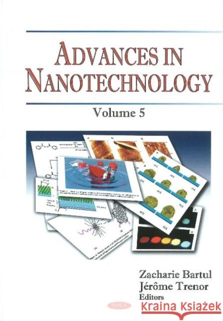 Advances in Nanotechnology: Volume 5 Zacharie Bartul, Jerome Trenor 9781617613227 Nova Science Publishers Inc