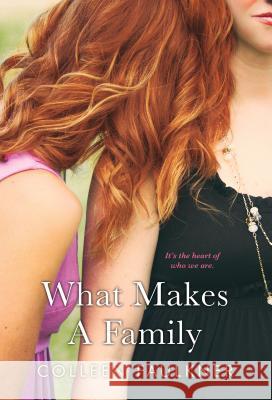 What Makes a Family Colleen Faulkner 9781617739354