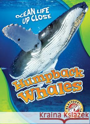 Humpback Whales Christina Leaf 9781618912657