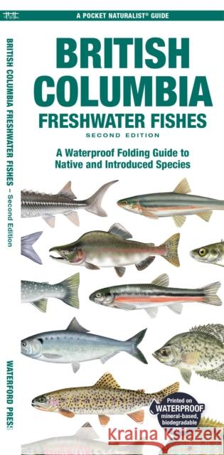 British Columbia Freshwater Fishes: A Waterproof Folding Guide to Native and Introduced Species Matthew Morris 9781620057094 Waterford Press Ltd