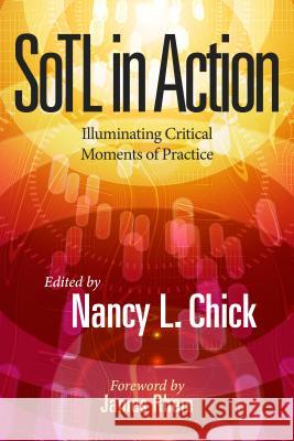 Sotl in Action: Illuminating Critical Moments of Practice Nancy L. Chick James Rhem 9781620366936