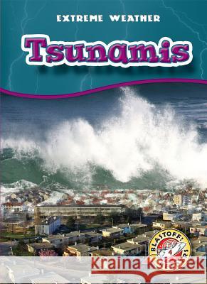 Tsunamis Anne Wendorff 9781626174689 Blastoff! Readers