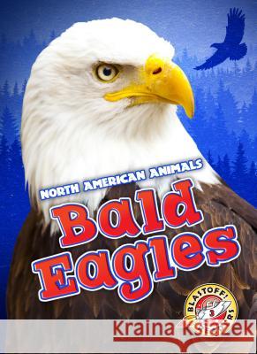 Bald Eagles Chris Bowman 9781626175365