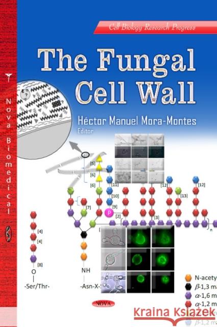Fungal Cell Wall Héctor Manuel Mora-Montes 9781626182295