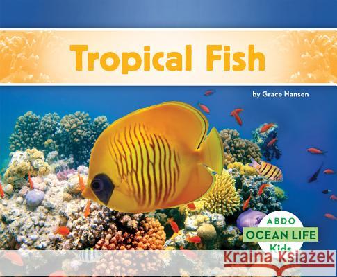 Tropical Fish Grace Hansen 9781629707129