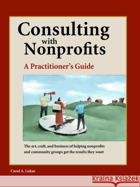 Consulting with Nonprofits: A Practitioner's Guide Carol Lukas Vincent Hyman 9781630263034