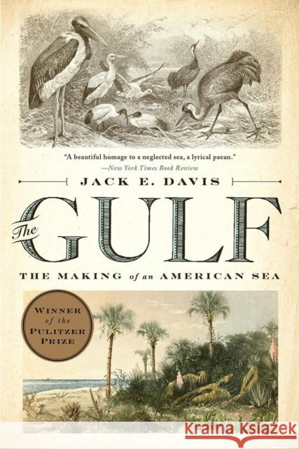 The Gulf: The Making of an American Sea Jack E. Davis 9781631494024