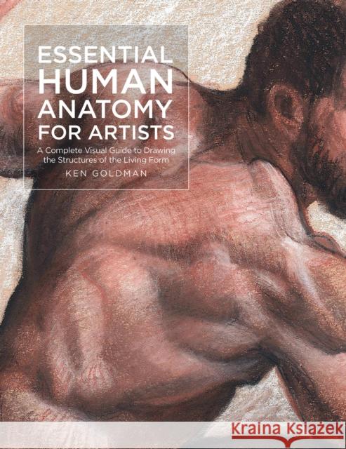 Essential Human Anatomy for Artists: A Complete Visual Guide to Drawing the Structures of the Living Form Ken Goldman 9781631599590