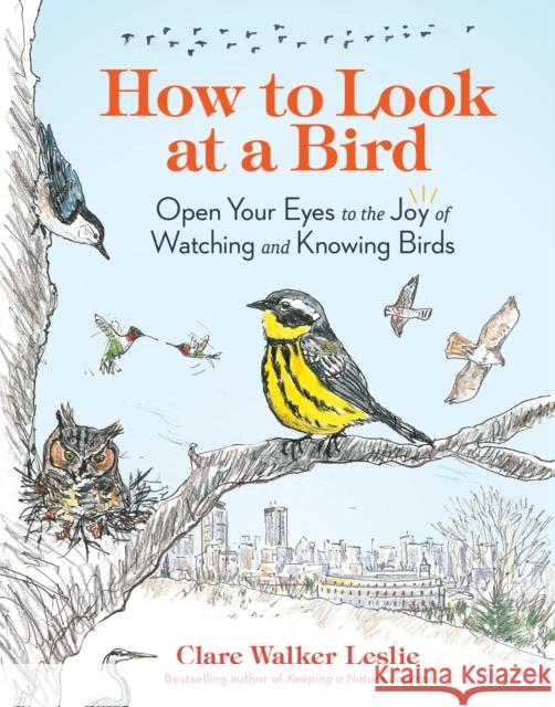 How to Look at a Bird: Open Your Eyes to the Joy of Watching and Knowing Birds Clare Walker Leslie 9781635866490