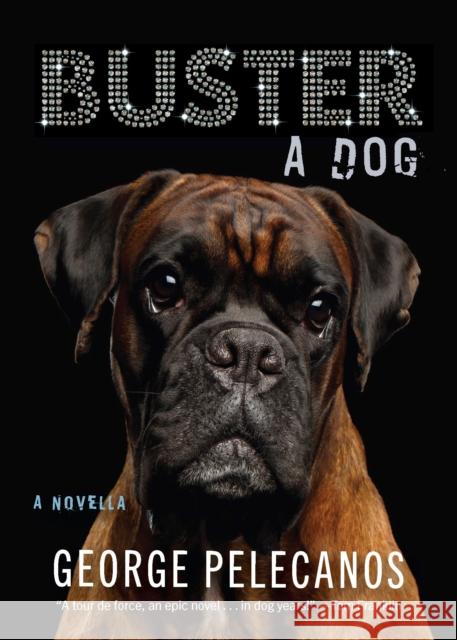 Buster: A Dog: A Novella George Pelecanos 9781636141701 Akashic Books, Ltd.