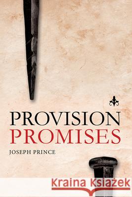 Provision Promises Joseph Prince 9781636410340