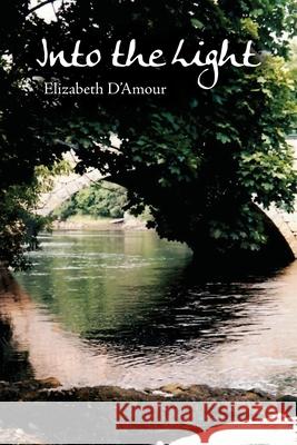 Into the Light Elizabeth D'Amour 9781636610443 Rosedog Books