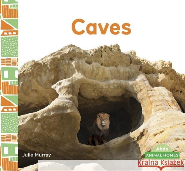 Animal Homes: Caves Julie Murray 9781644941195 Abdo Kids Junior
