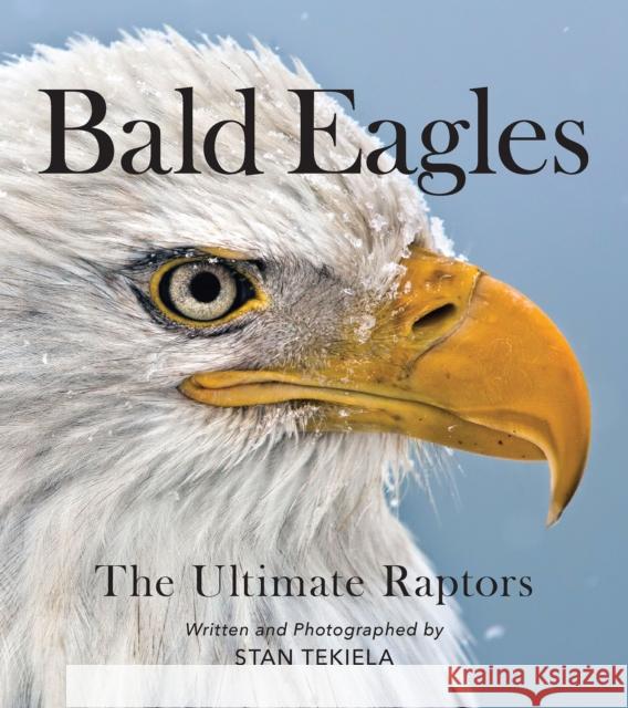 Bald Eagles: The Ultimate Raptors Stan Tekiela 9781647551452 Adventure Publications