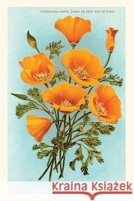 The Vintage Journal California Poppies Found Image Press 9781648115424 Found Image Press