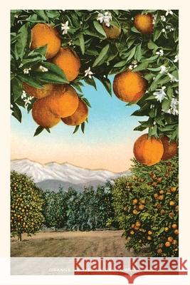 The Vintage Journal Orange Grove with Mountains in Background Found Image Press 9781648115455 Found Image Press