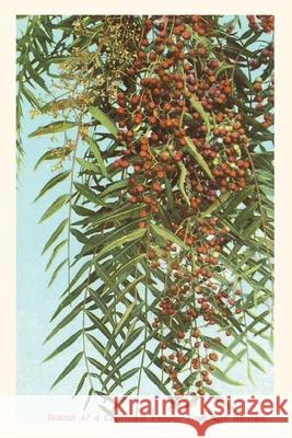 The Vintage Journal California Pepper Berries Found Image Press 9781648115479 Found Image Press