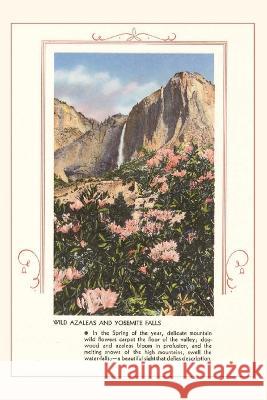 The Vintage Journal Wild Azaleas at Yosemite Found Image Press 9781648116025 Found Image Press