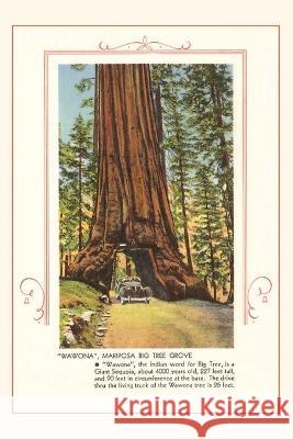 The Vintage Journal Wawona, Mariposa Big Tree Grove Found Image Press 9781648116063 Found Image Press