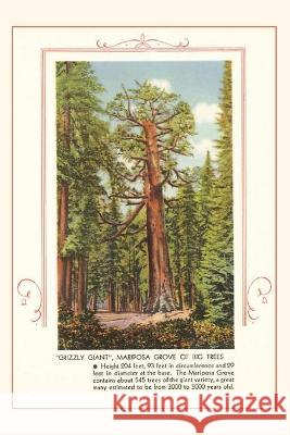 The Vintage Journal Grizzly giant, Mariposa Big Trees Found Image Press 9781648116070 Found Image Press