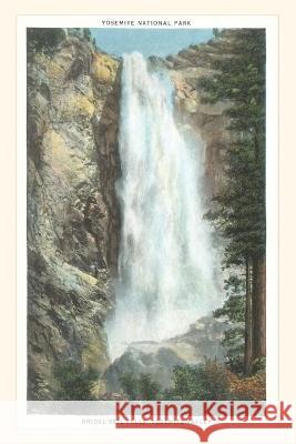 The Vintage Journal Bridal Veil Falls, Yosemite National Park, California Found Image Press 9781648116940 Found Image Press