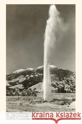 The Vintage Journal Geyser near Calistoga, California Found Image Press 9781648117046 Found Image Press