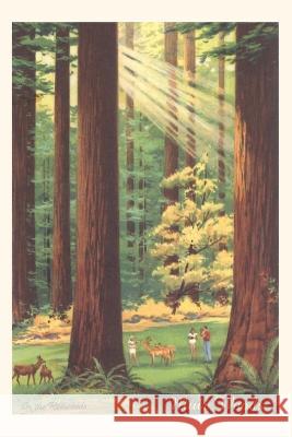 The Vintage Journal Bucolic Scene, Muir Woods, California Found Image Press 9781648117138 Found Image Press