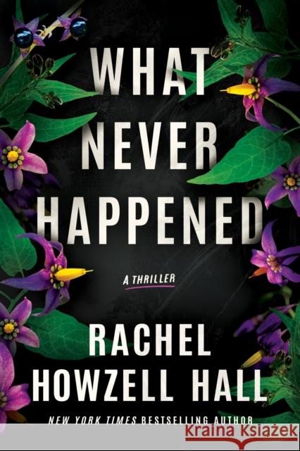 What Never Happened: A Thriller Rachel Howzell Hall 9781662504150